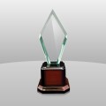 869 Elegant Zenith Award